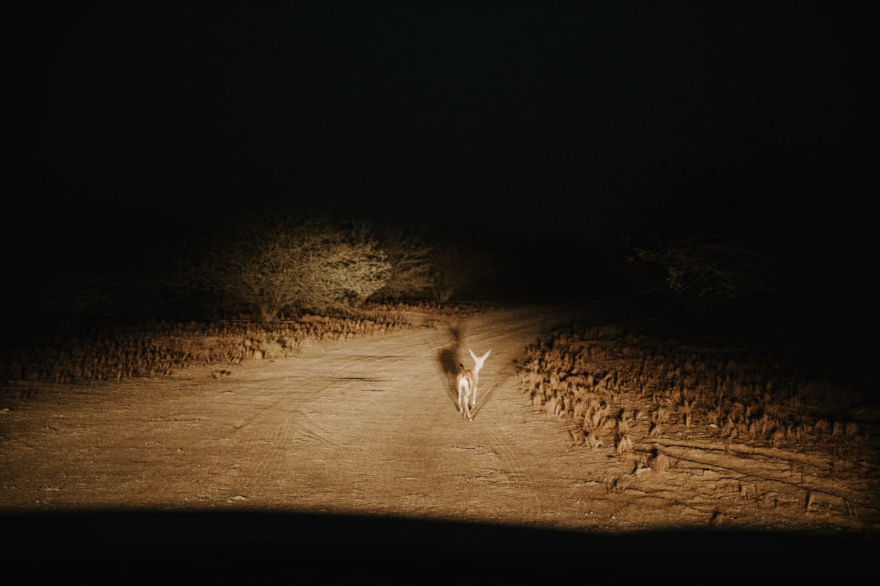 Ð¤Ð¾ÑÐ¾ - Envanto