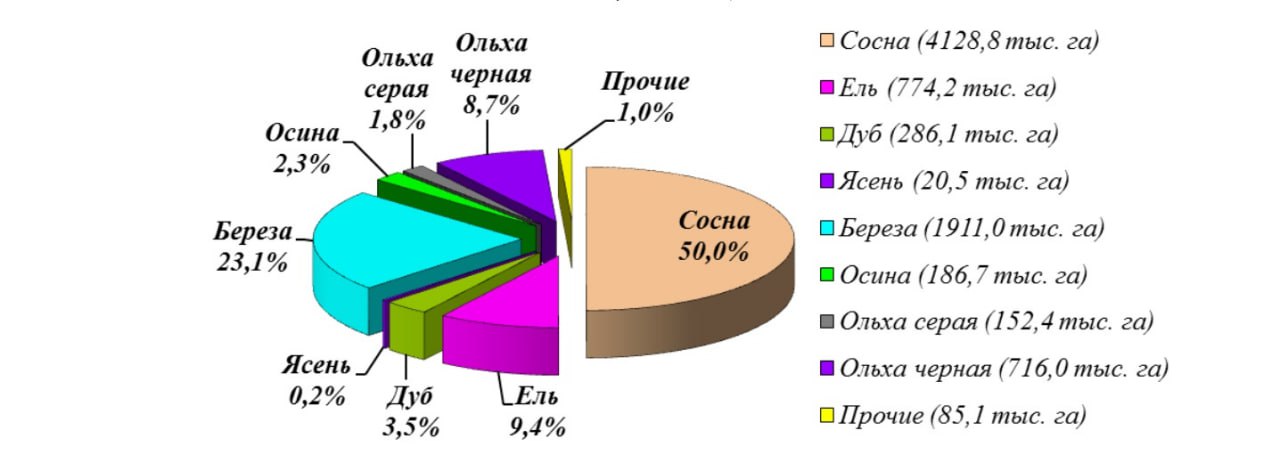ÐÐ»Ñ â ÑÑÐµÑÑÑ Ð¿Ð¾ ÑÐ°ÑÐ¿ÑÐ¾ÑÑÑÐ°Ð½ÐµÐ½Ð¸Ñ Ð»ÐµÑÐ½Ð°Ñ Ð¿Ð¾ÑÐ¾Ð´Ð° Ð² ÐÐµÐ»Ð°ÑÑÑÐ¸Â 