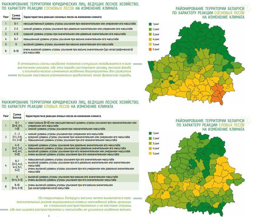 Ð Ð°Ð¹Ð¾Ð½Ð¸ÑÐ¾Ð²Ð°Ð½Ð¸Ðµ ÑÐµÑÑÐ¸ÑÐ¾ÑÐ¸Ð¸ ÐÐµÐ»Ð°ÑÑÑÐ¸ Ð¿Ð¾ ÑÐ°ÑÐ°ÐºÑÐµÑÑ ÑÐµÐ°ÐºÑÐ¸Ð¸ ÑÐ²Ð¾Ð¹Ð½ÑÑ Ð»ÐµÑÐ¾Ð²