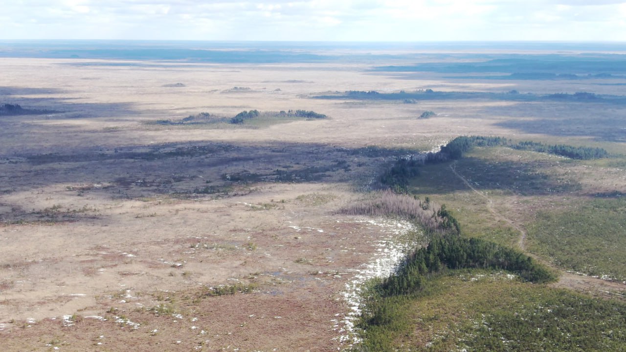 ÐÐµÑÐ¾-Ð±Ð¾Ð»Ð¾ÑÐ½ÑÐ¹ Ð¼Ð°ÑÑÐ¸Ð² ÐÐ»ÑÐ¼Ð°Ð½ÑÐºÐ¸Ðµ Ð±Ð¾Ð»Ð¾ÑÐ° Ð¼Ð¾Ð³ ÑÑÐ°ÑÑ Ð·Ð°Ð¿Ð¾Ð²ÐµÐ´Ð½Ð¸ÐºÐ¾Ð¼