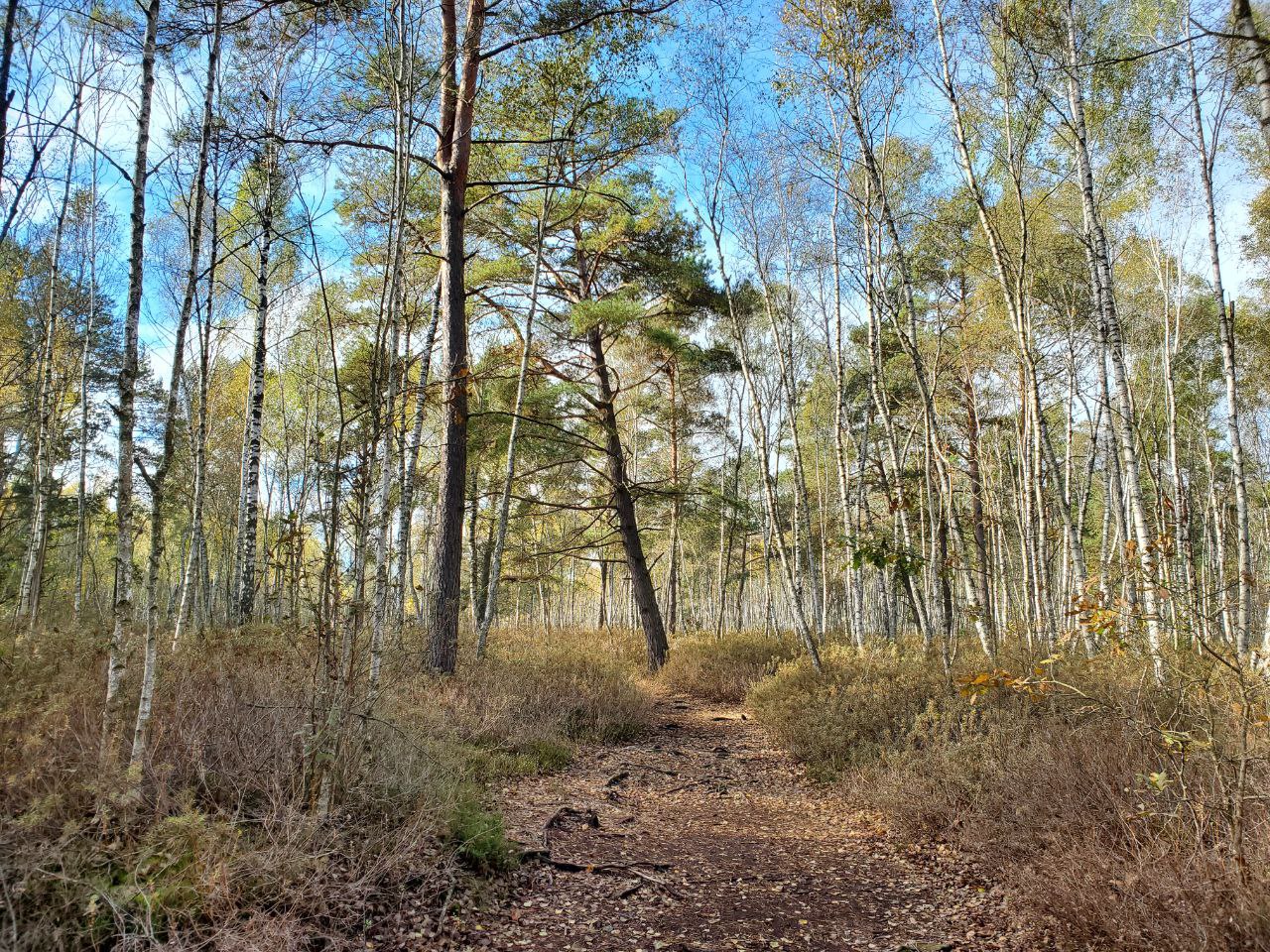  ÐÐµÐ±Ð¶Ð°Ð½ÑÐºÐ¸Ð¹ Ð½Ð°ÑÐ¸Ð¾Ð½Ð°Ð»ÑÐ½ÑÐ¹ Ð¿Ð°ÑÐº 