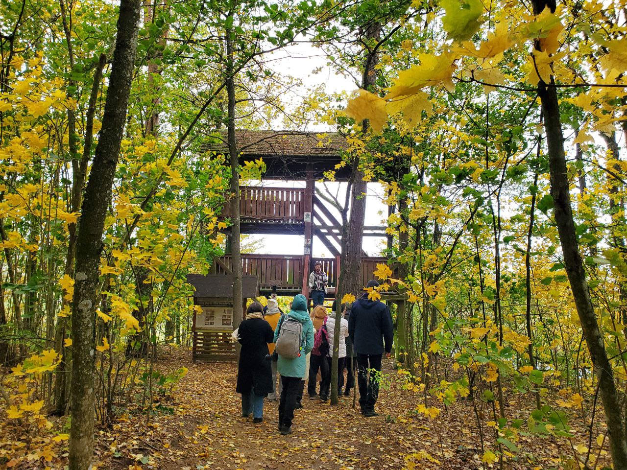 ÑÐºÑÐºÑÑÑÐ¸Ñ Ð² ÐÐµÐ±Ð¶Ð°Ð½ÑÐºÐ¾Ð¼ Ð½Ð°ÑÐ¸Ð¾Ð½Ð°Ð»ÑÐ½Ð¾Ð¼ Ð¿Ð°ÑÐºÐµ