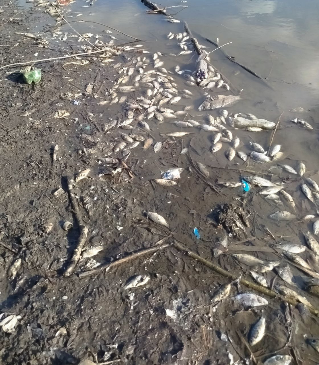 Ð­ÐºÐ¾Ð»Ð¾Ð³Ð¸Ñ ÐÐ¸Ð½ÑÐºÐ° | ÐÑÐ¸ÑÐ¸Ð°Ð»ÑÐ½Ð¾