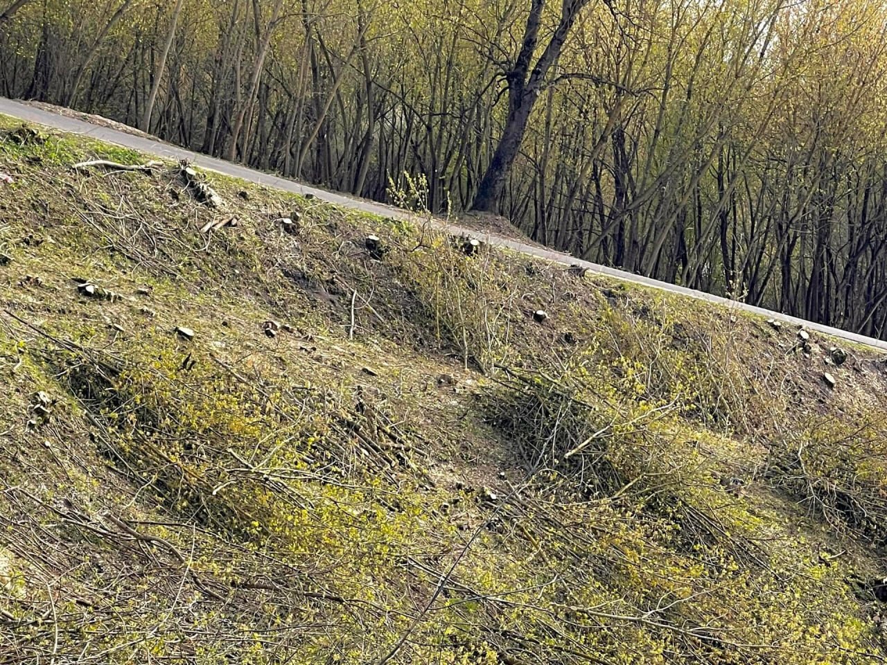 Ð ÐÑÐµÑÑÑÐºÐ¾Ð¹ ÐºÑÐµÐ¿Ð¾ÑÑÐ¸ Ð¼Ð°ÑÑÐ¾Ð²Ð¾ Ð²ÑÑÑÐ±Ð°ÑÑ Ð´ÐµÑÐµÐ²ÑÑ