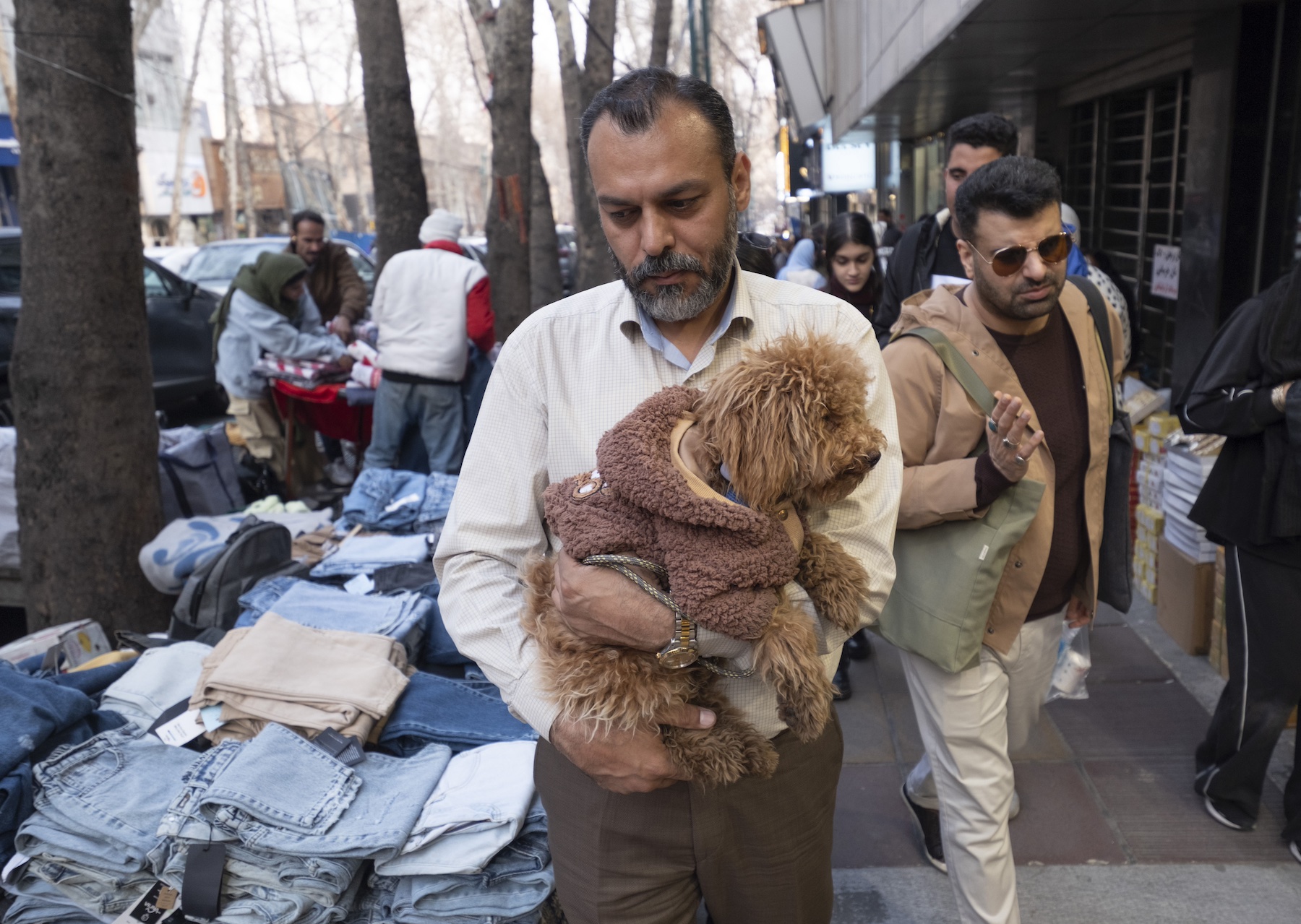 Ð¤Ð¾ÑÐ° - Morteza Nikoubazl/NurPhoto via Getty Images