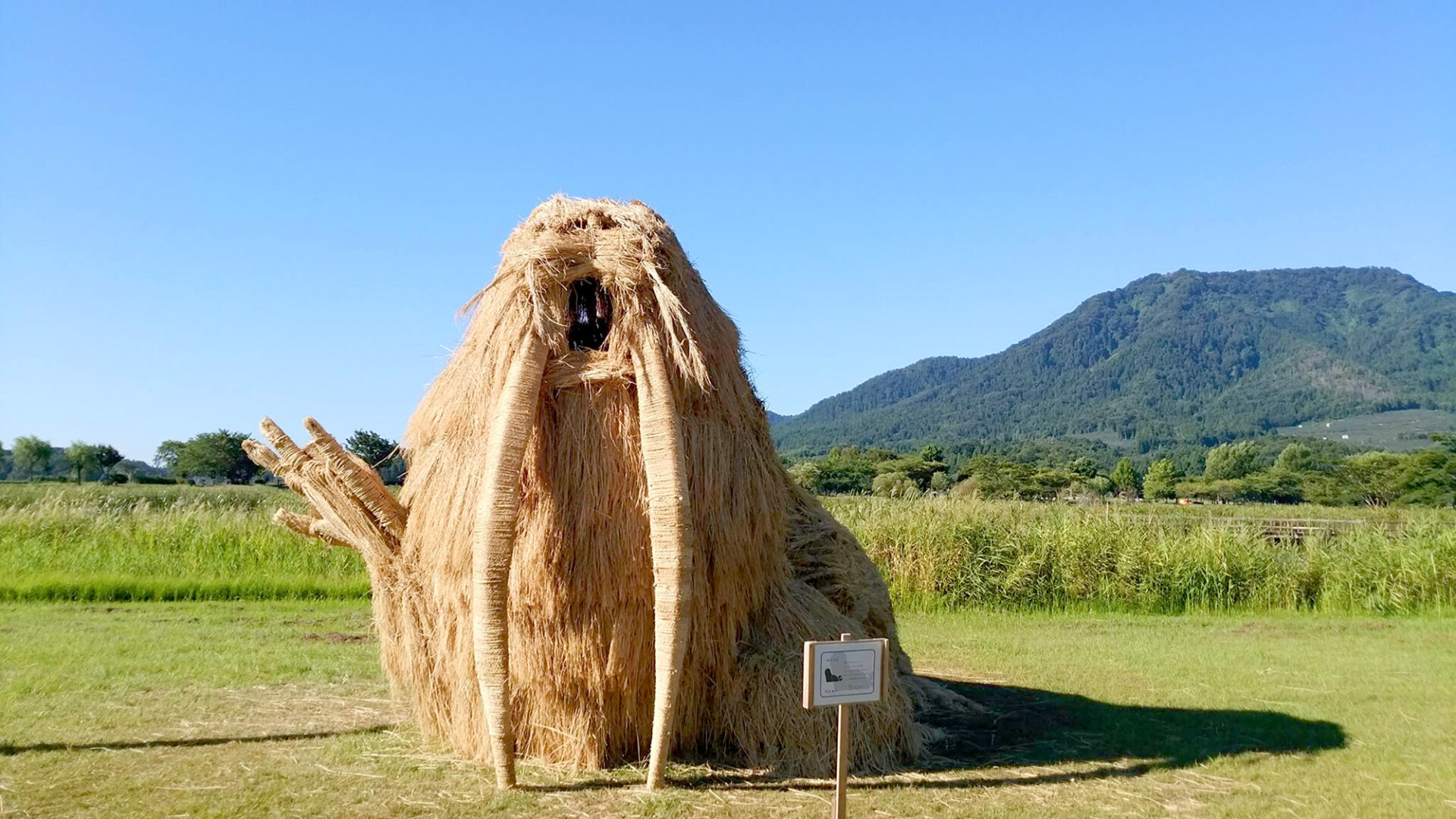 Wara Art Festival