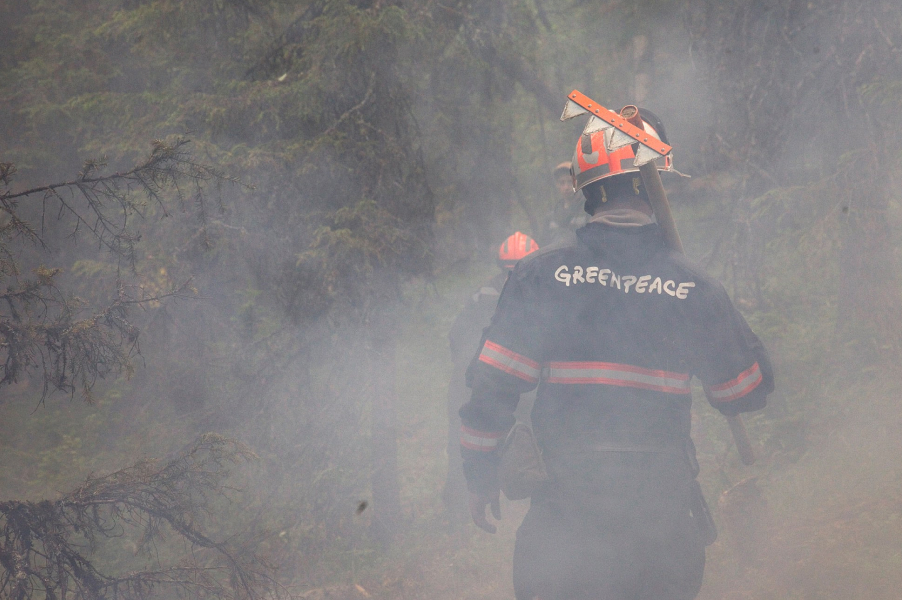 ÐÐ¾Ð»Ð¾Ð½ÑÐµÑÑ Ð¿ÑÐ¸ÑÐ¾Ð´Ð¾Ð¾ÑÑÐ°Ð½Ð½Ð¾Ð¹ Ð¾ÑÐ³Ð°Ð½Ð¸Ð·Ð°ÑÐ¸Ð¸ Greenpeace Ð½Ð° ÑÑÑÐµÐ½Ð¸Ð¸ Ð»ÐµÑÐ½ÑÑ Ð¿Ð¾Ð¶Ð°ÑÐ¾Ð² Ð¤Ð¾ÑÐ¾: GreenpeaceRussia