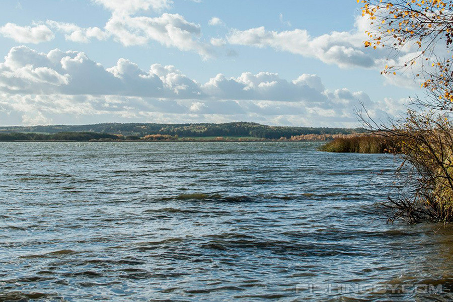 ÐÐµÐ»ÑÐ²ÐµÐ½ÑÐºÐ¾Ðµ Ð²Ð¾Ð´Ð¾ÑÑÐ°Ð½Ð¸Ð»Ð¸ÑÐµ