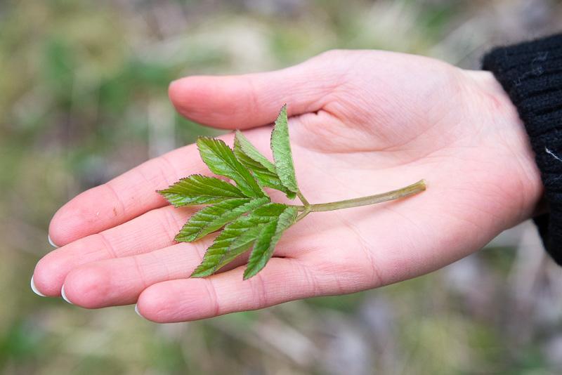 Ð¡Ð½ÑÑÑ