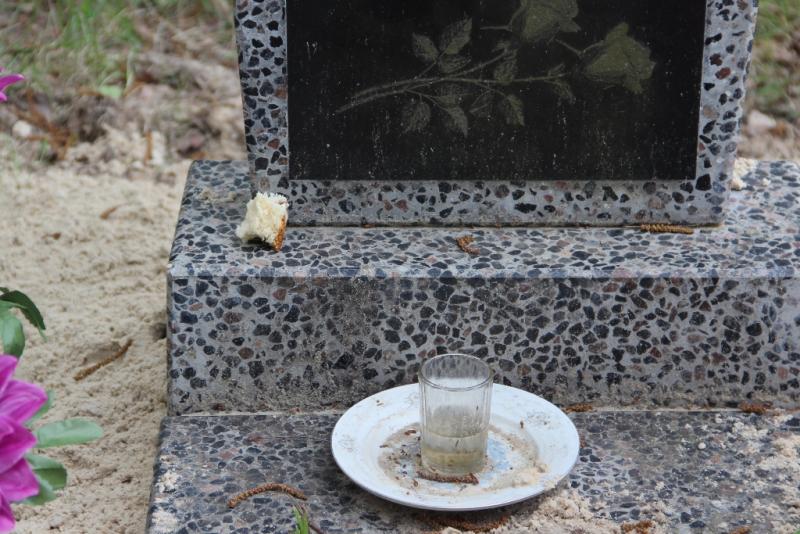 ÐÐ°Ð²Ð°Ð»Ð°Ðº Ð²ÐµÐ»ÑÐºÐ¾Ð´Ð½Ð°Ð¹ Ð±ÑÐ»ÐºÑ Ð½Ð° Ð¼Ð¾Ð³ÑÐ»ÐºÐ°Ñ Ð². ÐÐ°Ð½ÑÐ»ÐµÐ²ÑÑÑ ÐÐµÐ»ÑÑÑÑÐºÐ°Ð³Ð° Ñ. 2016 Ð³.