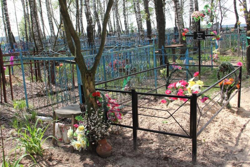 ÐÐµÐ»ÑÐºÐ¾Ð´Ð½ÑÑ Ð²ÐµÑÐ±Ñ Ð½Ð° Ð¼Ð¾Ð³ÑÐ»ÐºÐ°Ñ Ð². ÐÑÑÑÑÑÑ ÐÐ°Ð»ÑÐ½ÐºÐ°Ð²ÑÑÐºÐ°Ð³Ð° Ñ. ÐÑÐ»ÑÐºÐ´Ð·ÐµÐ½Ñ 2016 Ð³.